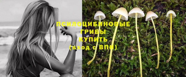 дурь Абаза