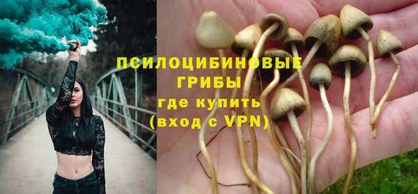стафф Алексеевка