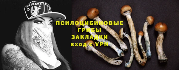 дурь Абаза