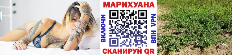 Бошки Шишки THC 21%  Кяхта 